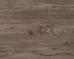 TORLYS RigidWood Firm Vista SPC Vinyl - FOREMAST
