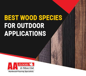 Best Wood Species for Outdoor Applications